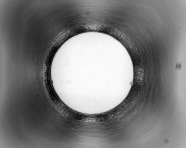 X0000103460738200810101149
