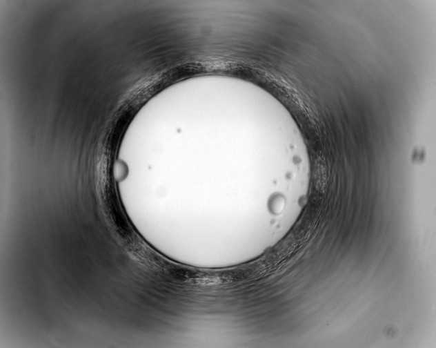 X0000103460740200810101149