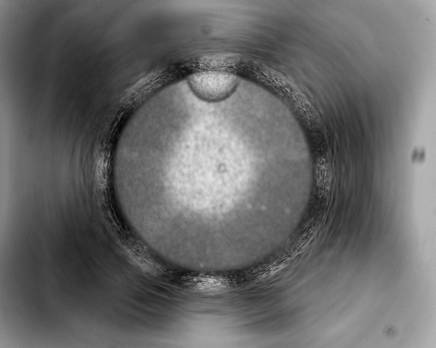 X0000103460741200810101149
