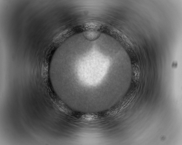 X0000103460745200810101150