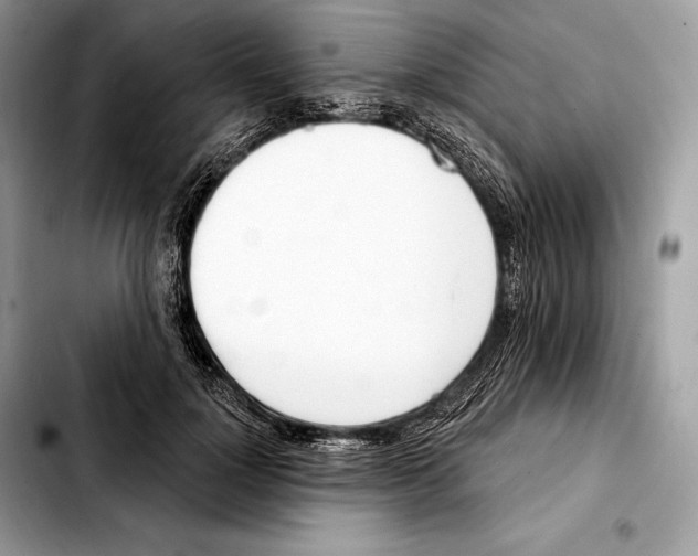 X0000103460748200810101150