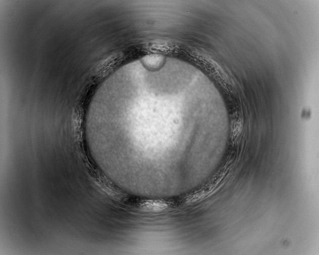 X0000103460749200810101150