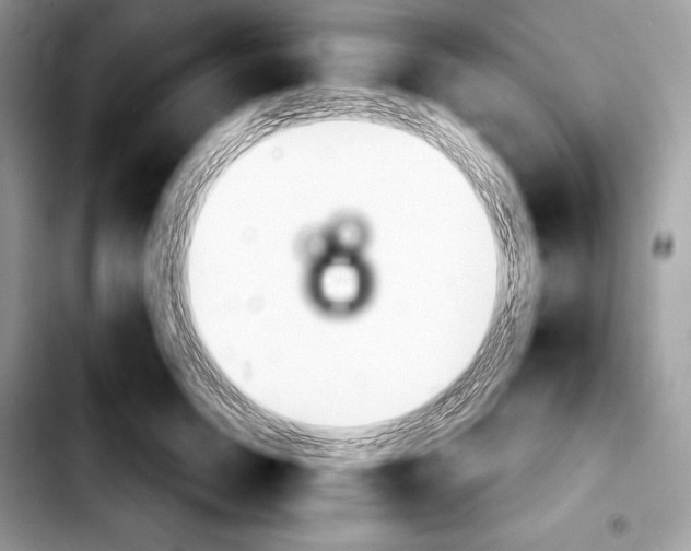 X0000103460750200810101150