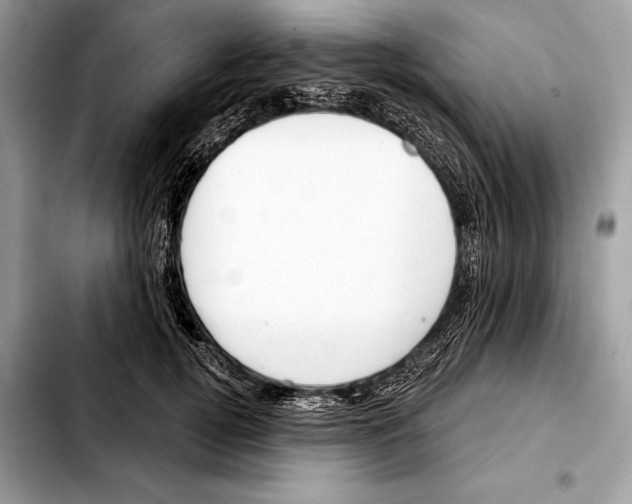 X0000103460752200810101150