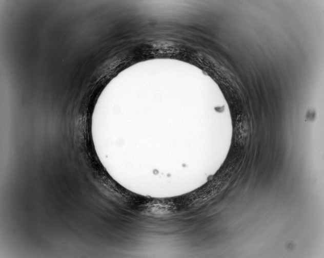 X0000103460756200810101150