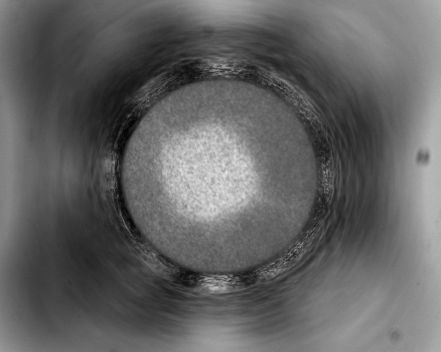X0000103460757200810101150