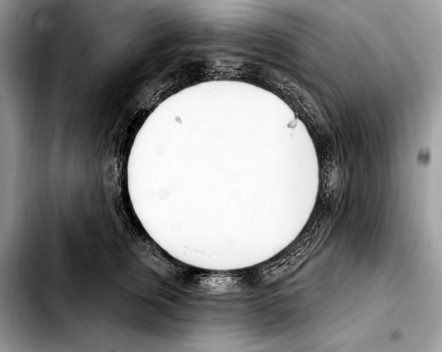 X0000103460759200810101150