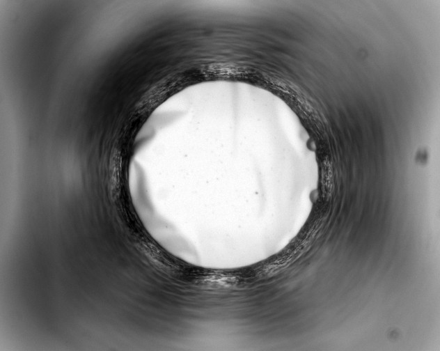 X0000103460760200810101150