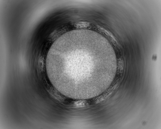 X0000103460761200810101150