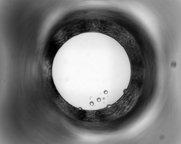 X0000103460766200810101150