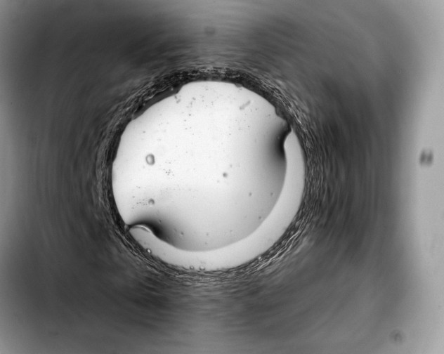 X0000103460769200810101149