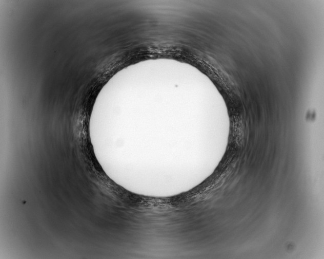 X0000103460770200810101149