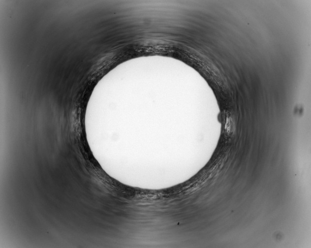 X0000103460771200810101149