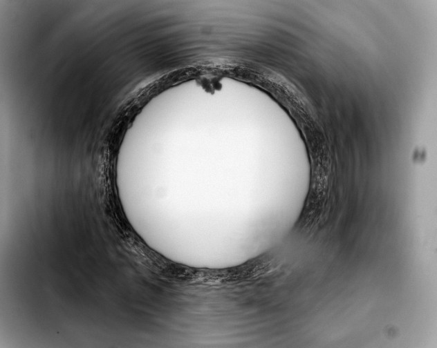X0000103460773200810101149