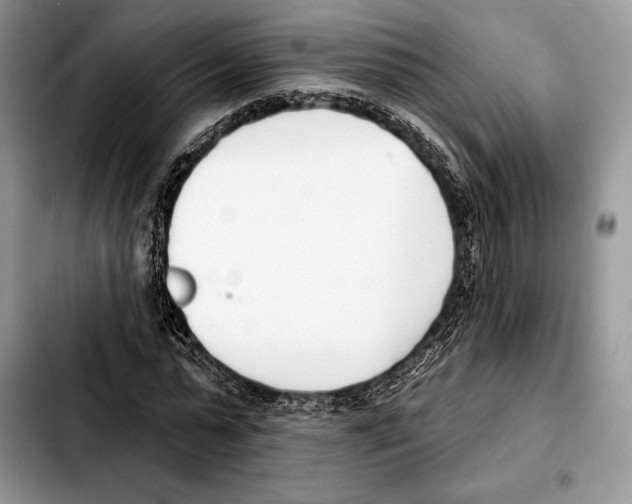 X0000103460775200810101149
