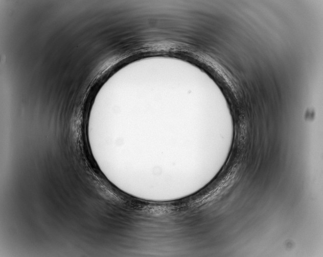 X0000103460778200810101149
