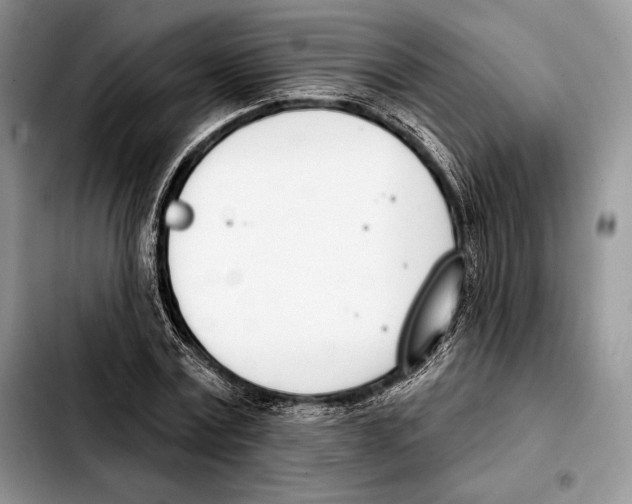 X0000103460779200810101149