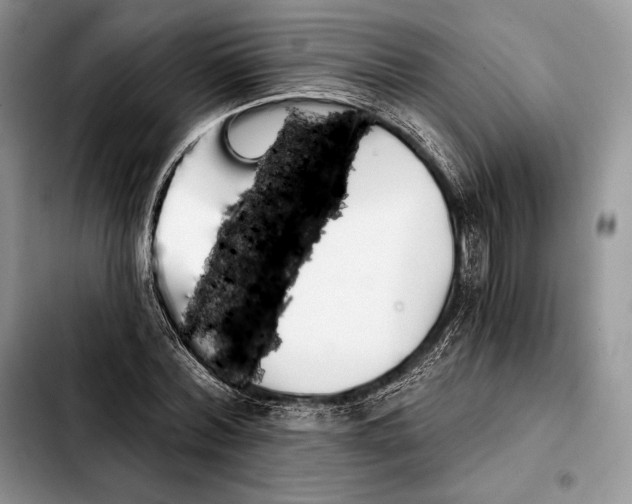 X0000103460780200810101149