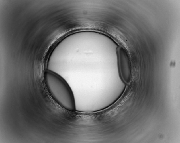 X0000103460781200810101149