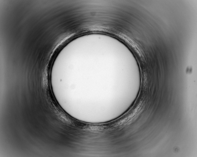 X0000103460782200810101149