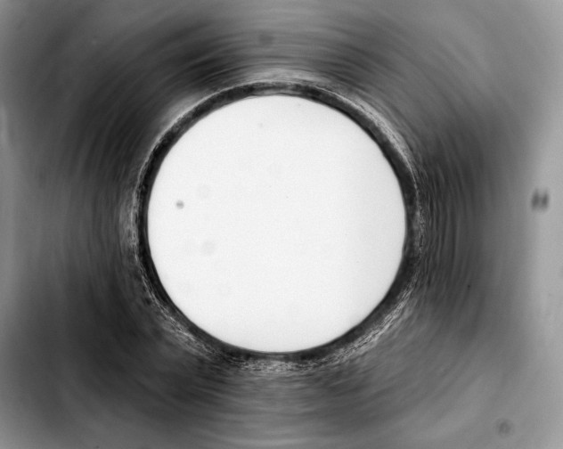 X0000103460783200810101149