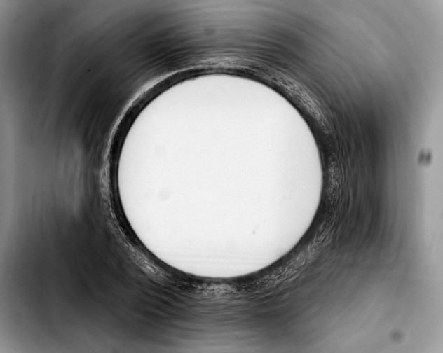 X0000103460784200810101149