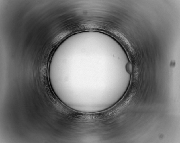 X0000103460785200810101149