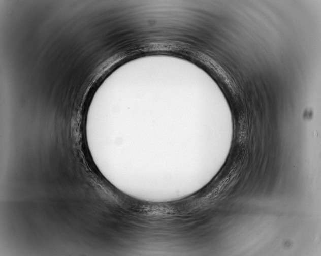 X0000103460786200810101149