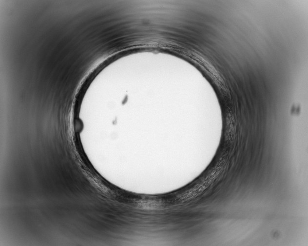 X0000103460788200810101149