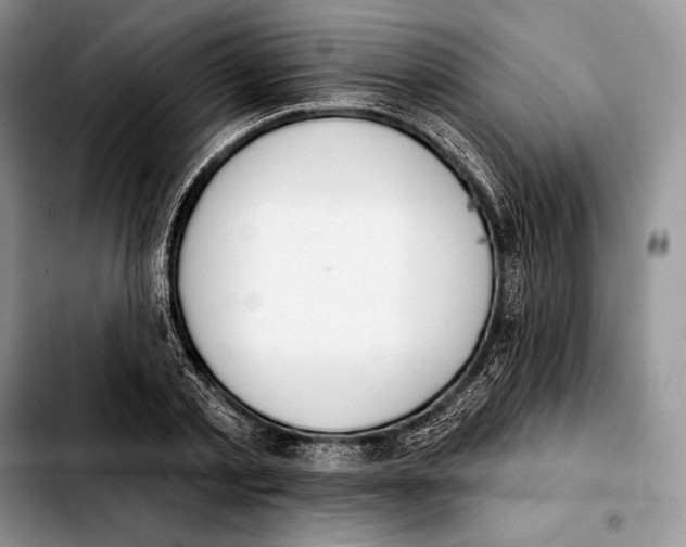 X0000103460789200810101149