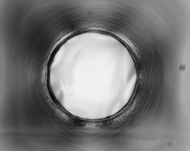 X0000103460790200810101149