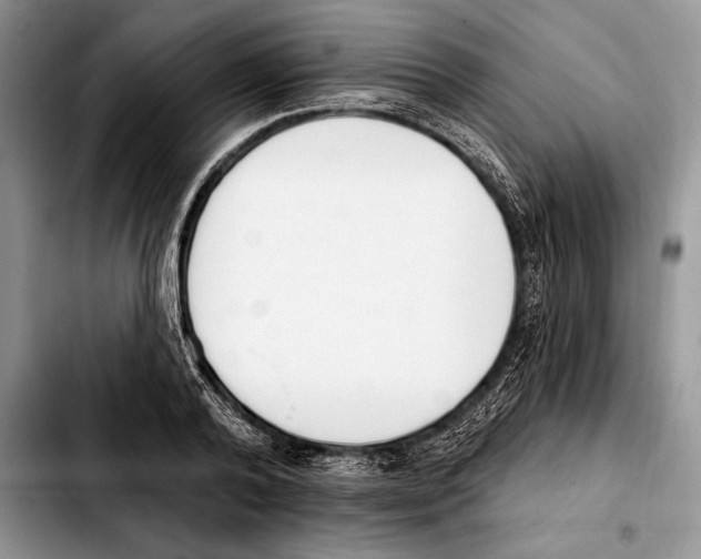 X0000103460792200810101149