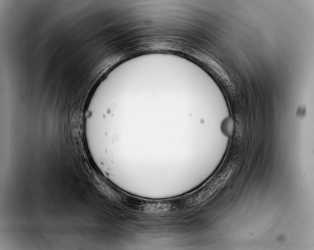 X0000103460793200810101149