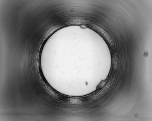 X0000103460794200810101149