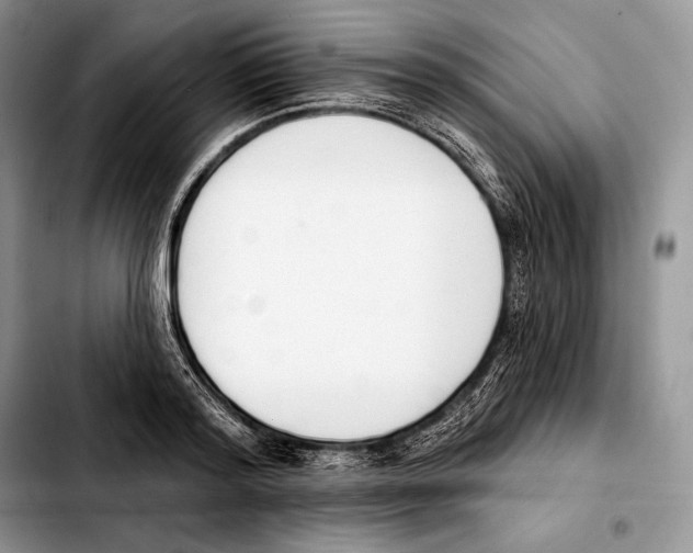 X0000103460796200810101149
