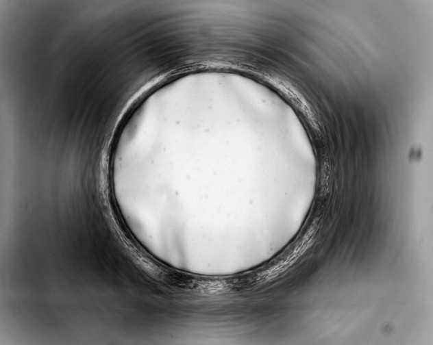 X0000103460798200810101149