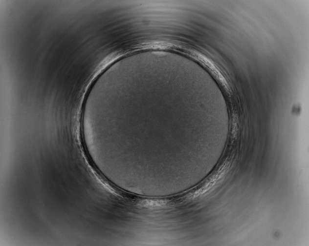 X0000103460802200810101149