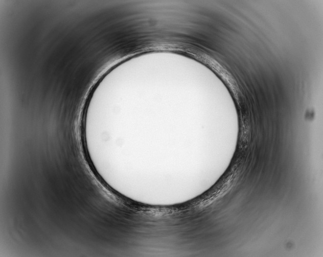 X0000103460803200810101149