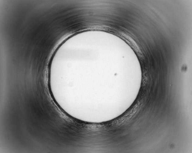 X0000103460804200810101149