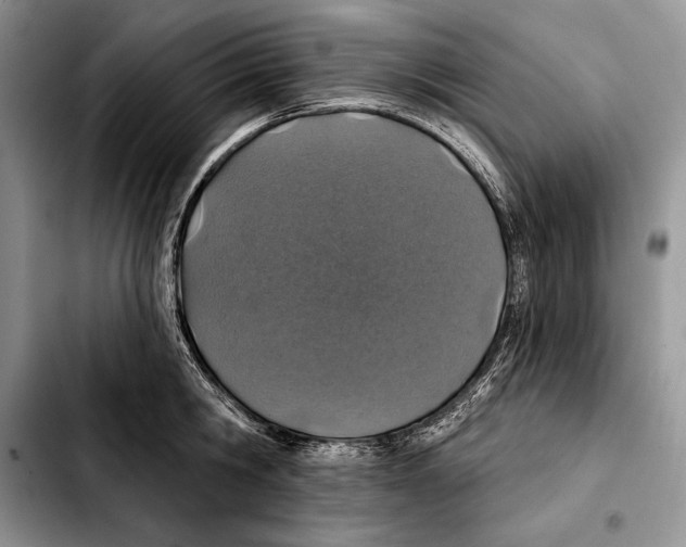 X0000103460806200810101149