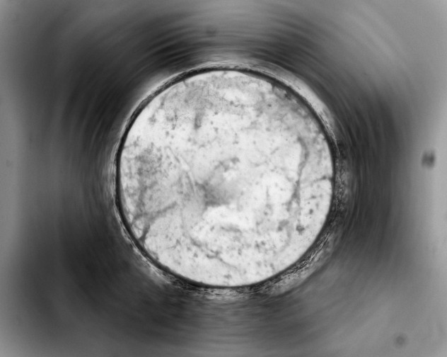 X0000103460807200810101149