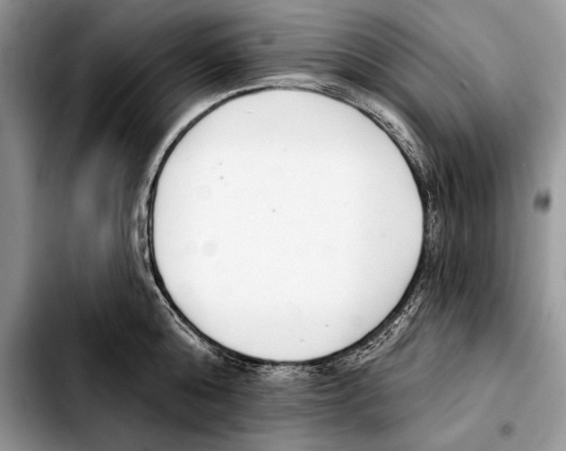 X0000103460808200810101149