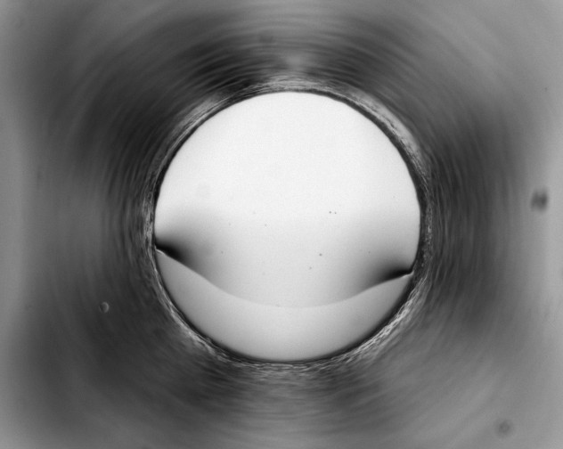 X0000103460809200810101149