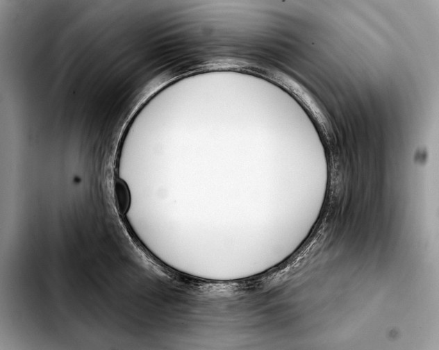 X0000103460810200810101149