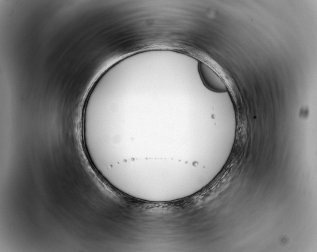 X0000103460811200810101149