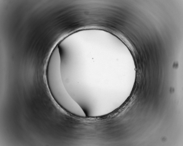 X0000103460813200810101149