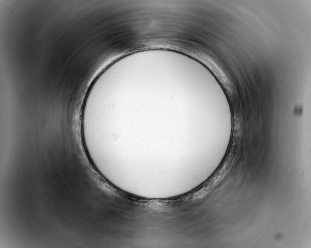 X0000103460814200810101149