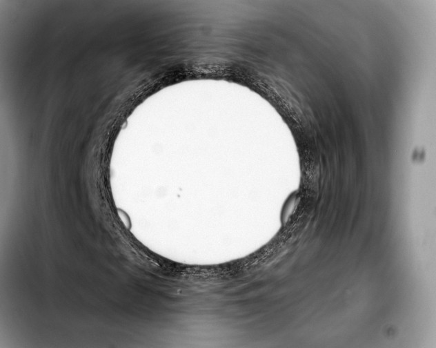 X0000103460817200810101148