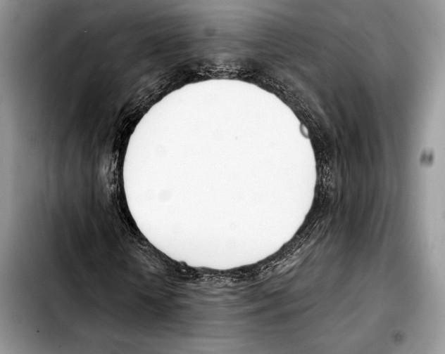 X0000103460818200810101148