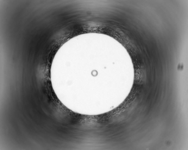 X0000103460820200810101148
